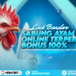 Rahasia sabung ayam online